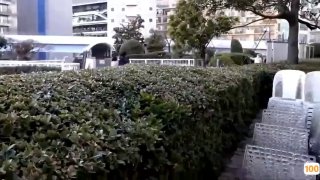 日本av91狠狠综合久久久久久精品网站无码中文字幕